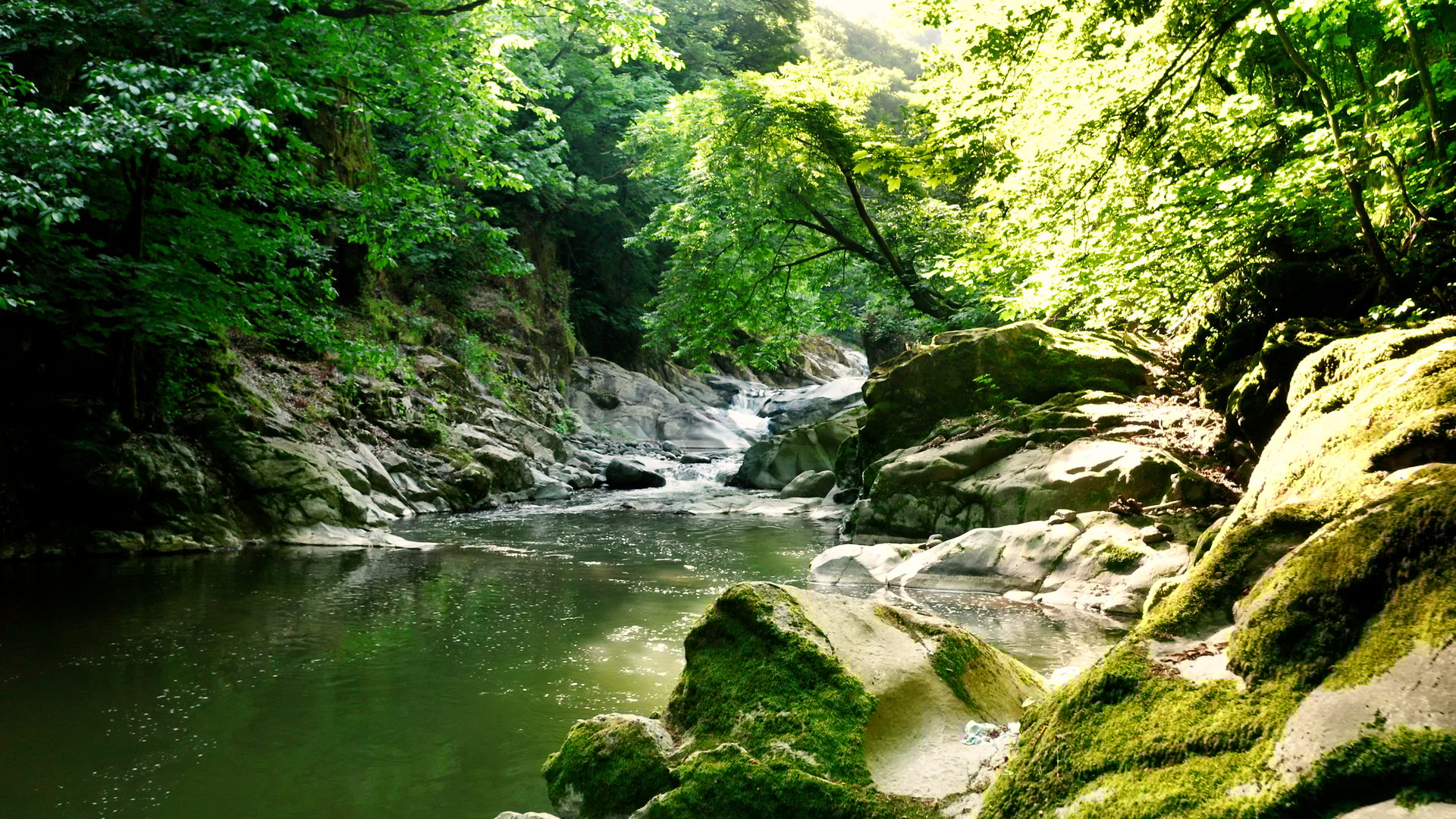 Fluvial landforms of streams, Water resources, Plant community, Natural landscape, Green, Bank, Spring