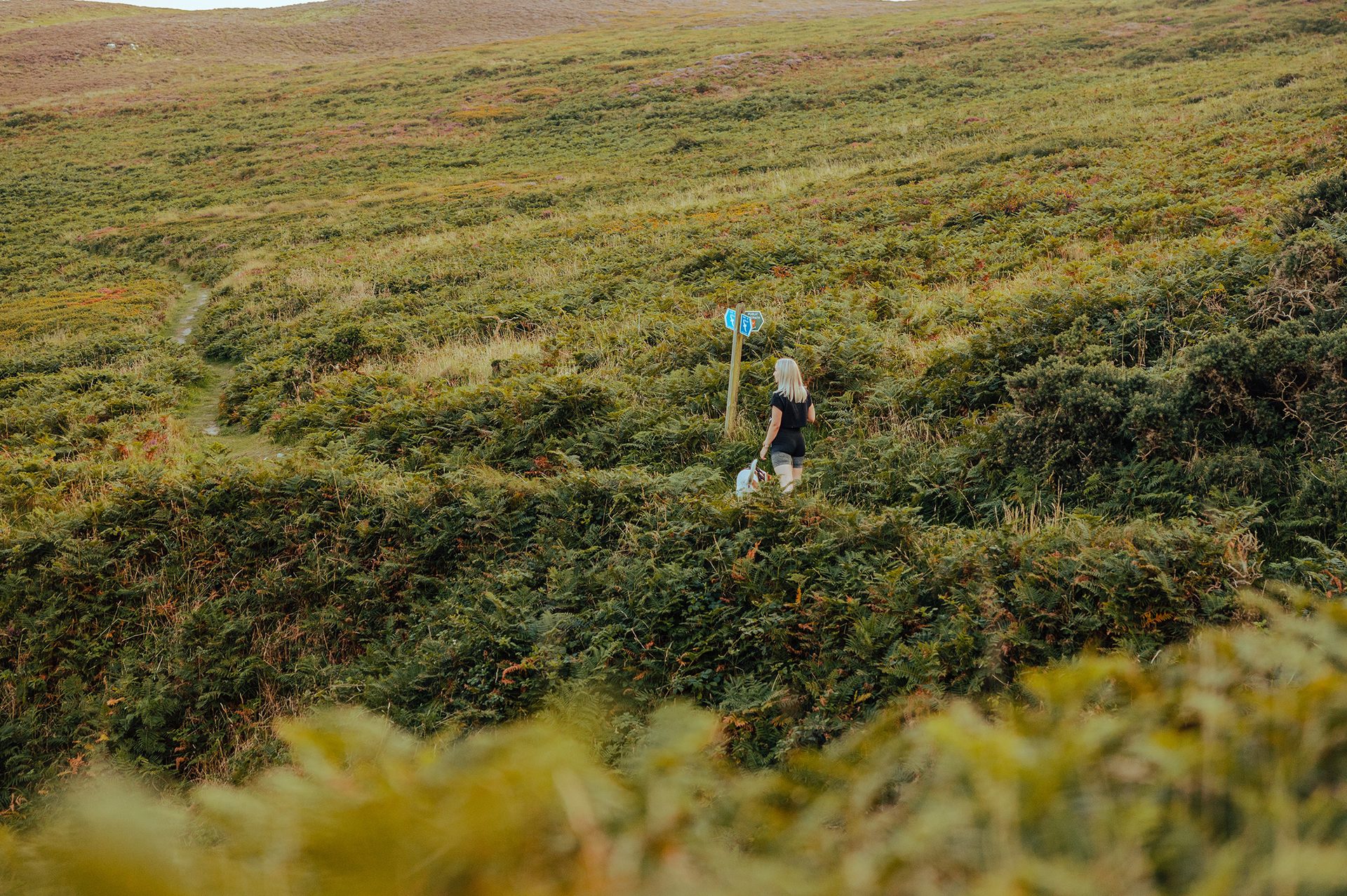 People in nature, Plant community, Natural landscape, Slope, Vegetation, Grass, Terrain