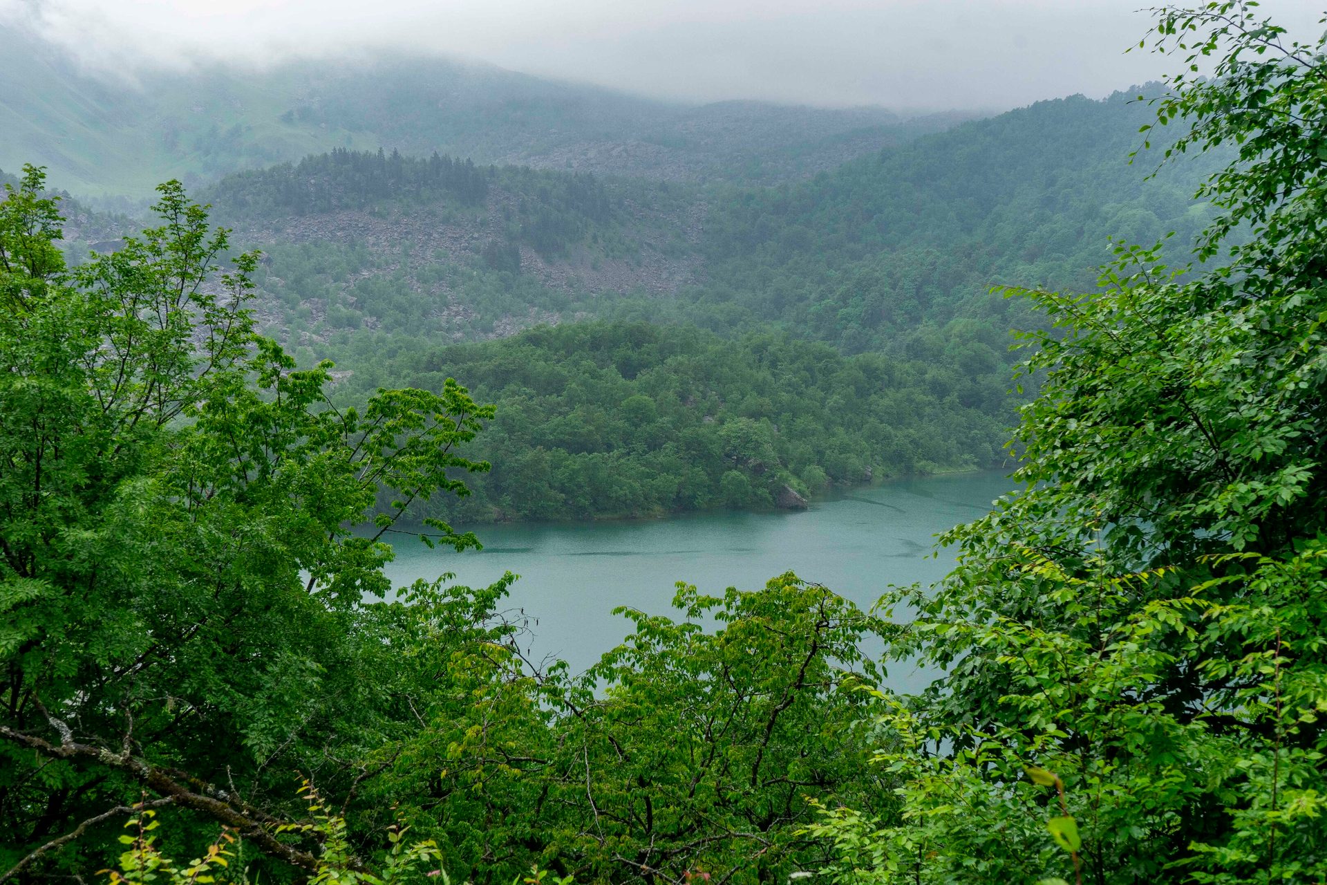Body of water, Natural landscape, Plant, Sky, Mountain, Tree, Cloud, Lake, Highland