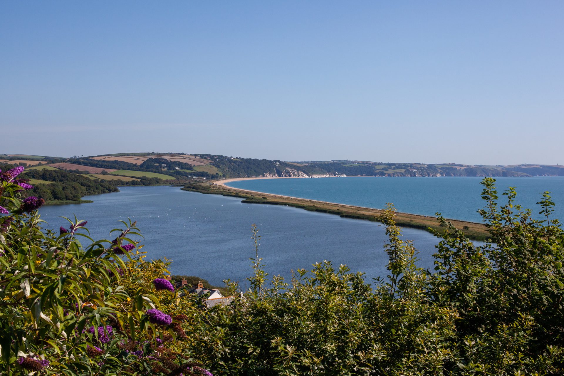Natural landscape, Water, Sky, Plant, Flower, Lake