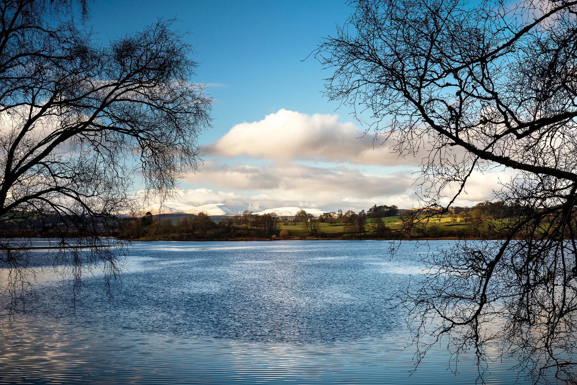 Water resources, Natural landscape, Cloud, Sky, Atmosphere, Plant, Tree, Lake, Dusk