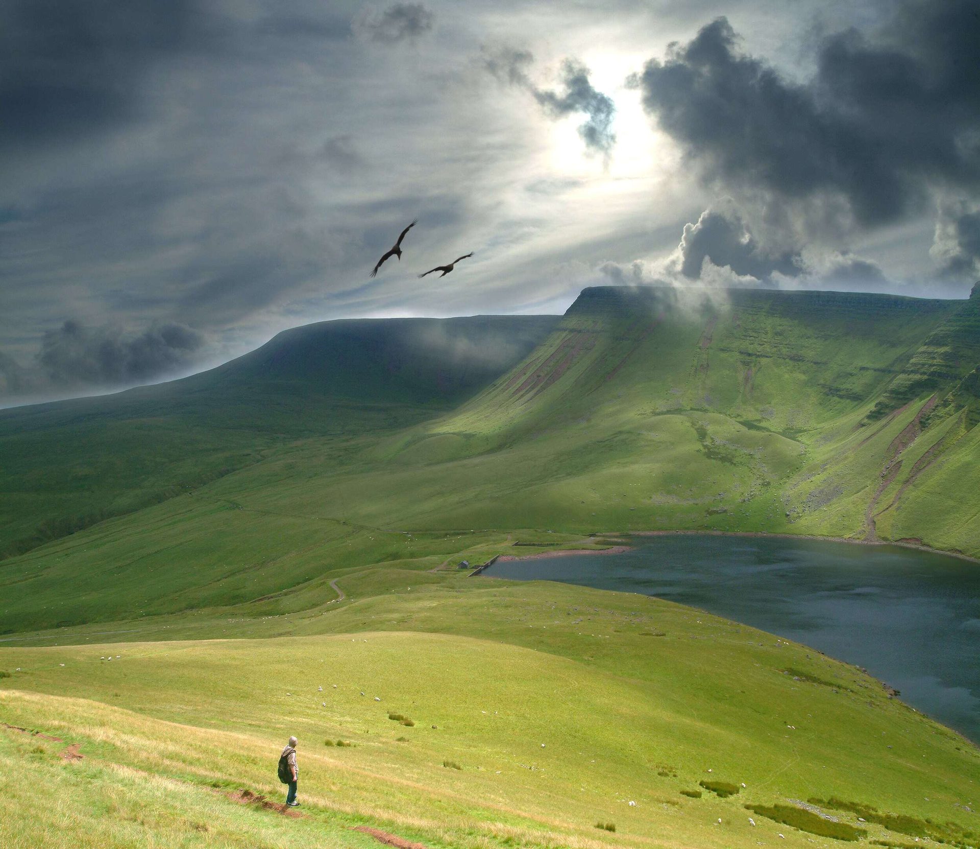 People in nature, Natural landscape, Cloud, Sky, Mountain, Bird, Highland, Slope, Grass