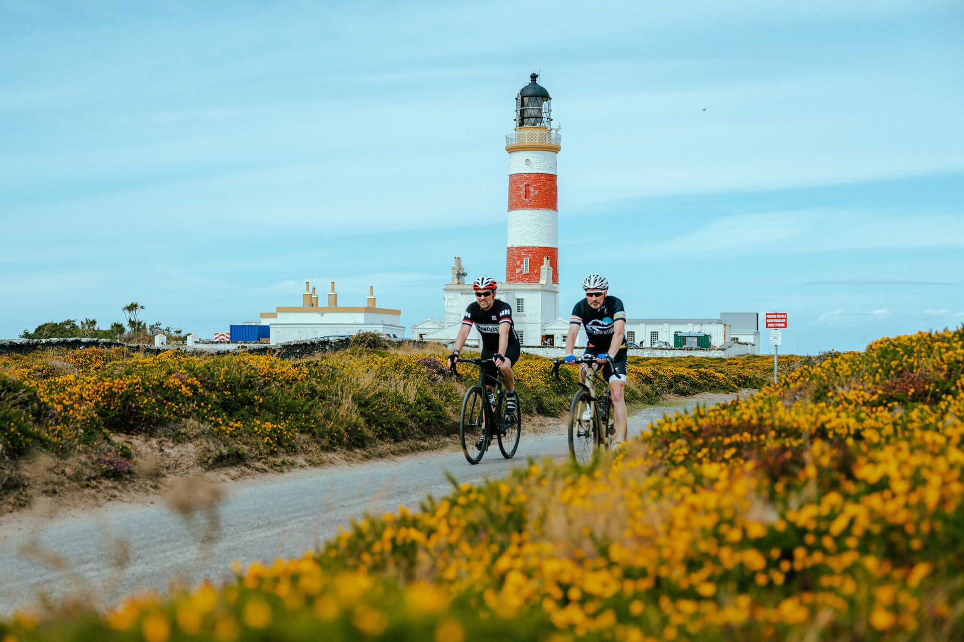 Bicycles--Equipment and supplies, Natural landscape, Bicycle handlebar, Flower, Plant, Sky, Lighthouse, Cloud, Asphalt