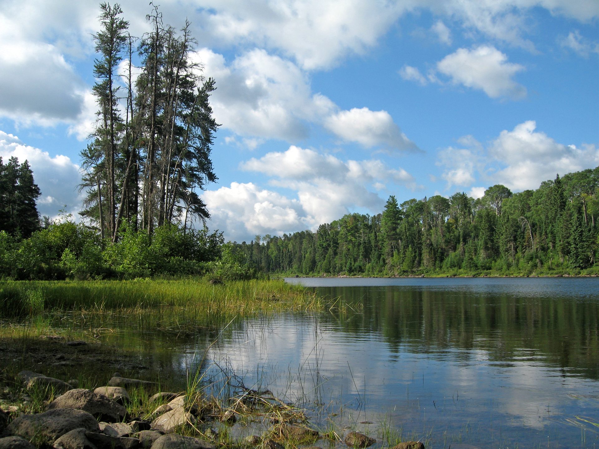 Natural landscape, Lacustrine plain, Cloud, Water, Sky, Plant, Tree, Lake, Larch, Highland