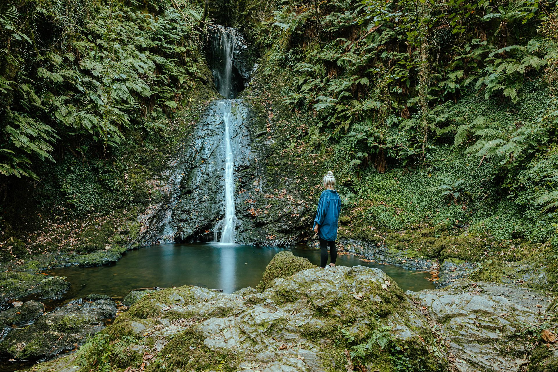 Fluvial landforms of streams, Water resources, Natural landscape, Ecoregion, Plant, Watercourse, Waterfall, Spring