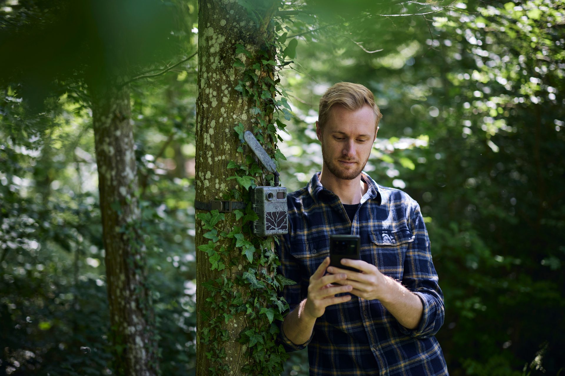 People in nature, Shirt, Tartan, Plant, Botany, Beard, Plaid, Wood, T-shirt, Grass