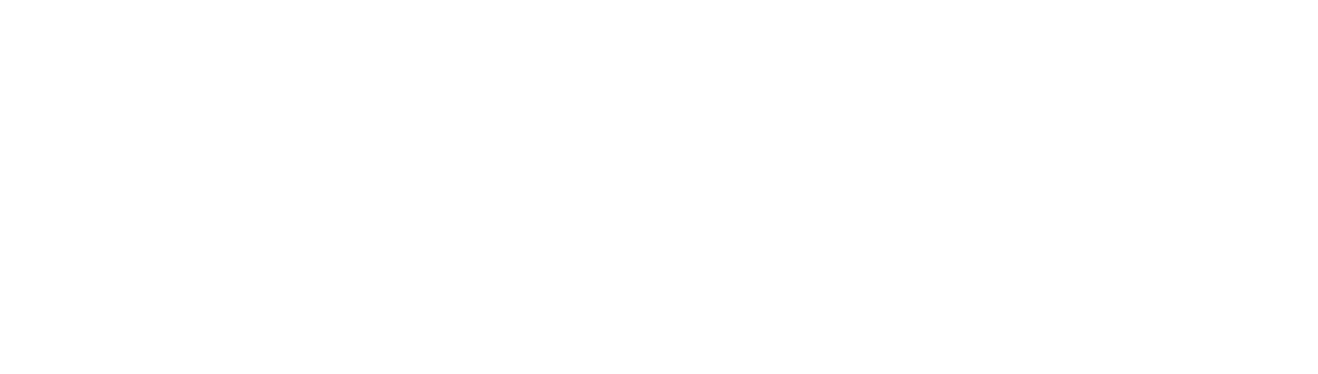 Nonviolent Peaceforce logo, white text on green, 'Peace' green on white circle.