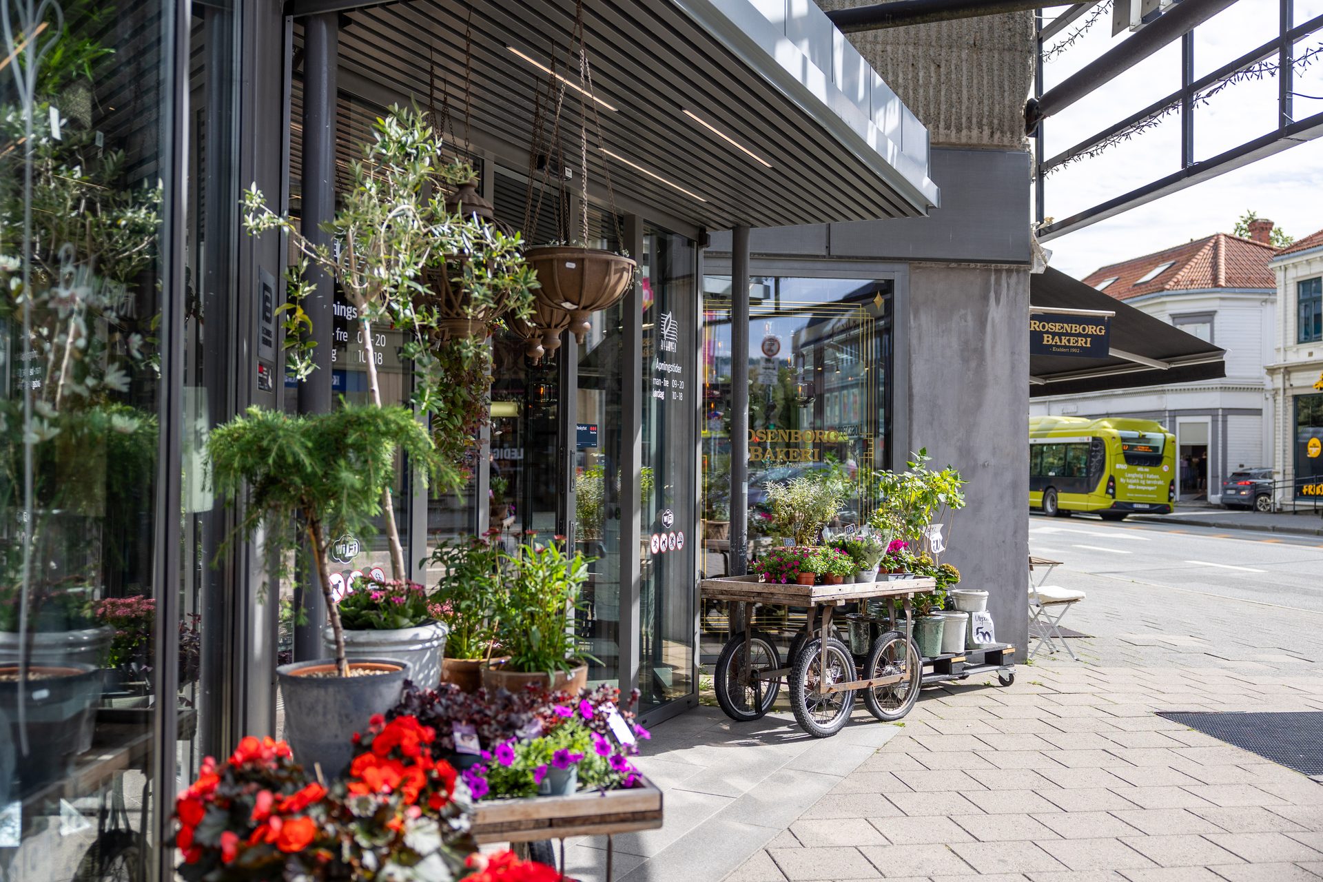 Urban design, Plant, Flower, Flowerpot, Building, Houseplant, Architecture, Shade, Table, Window