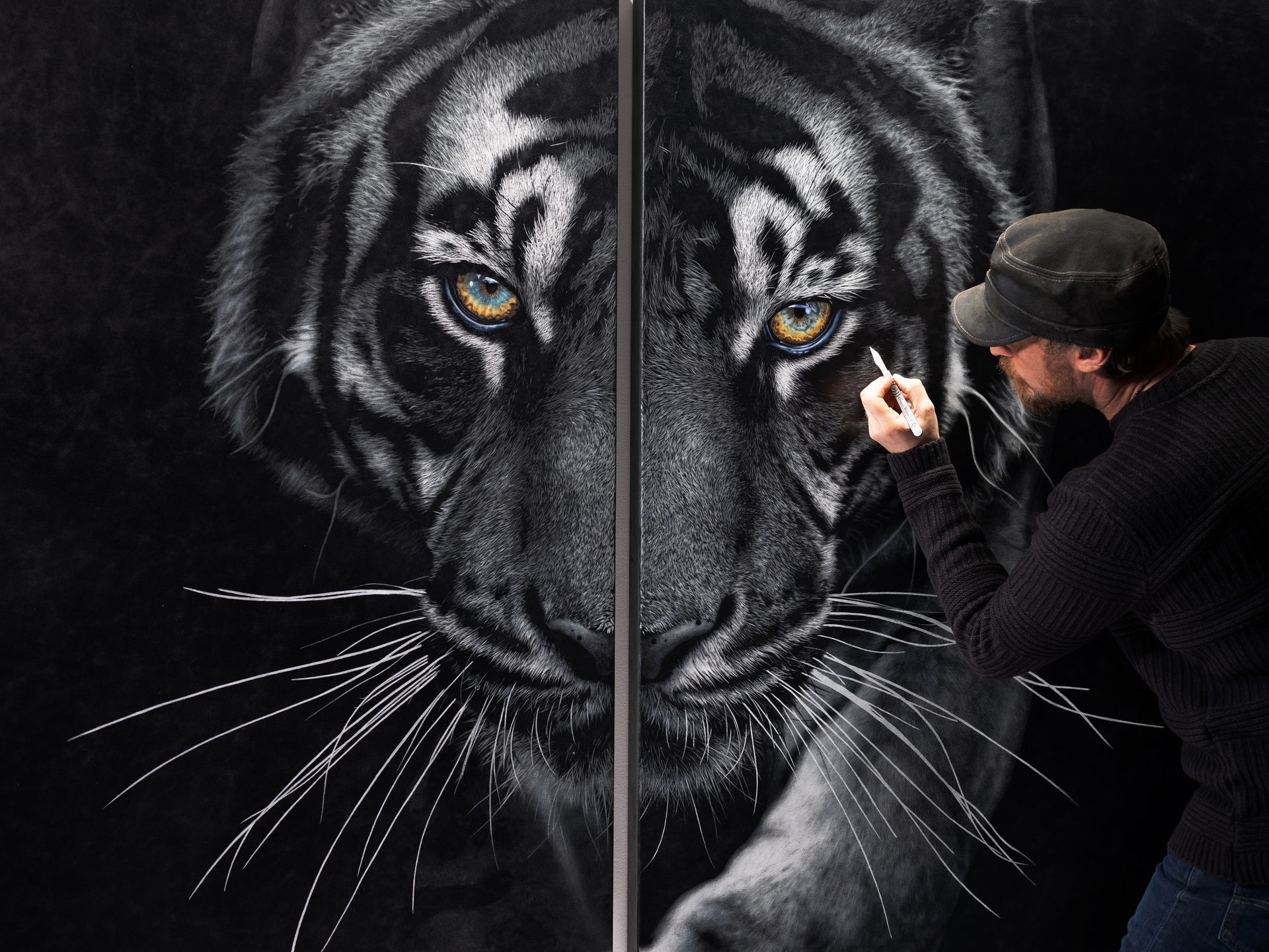 Flash photography, Big cats, Carnivore, Felidae, Whiskers, Grey