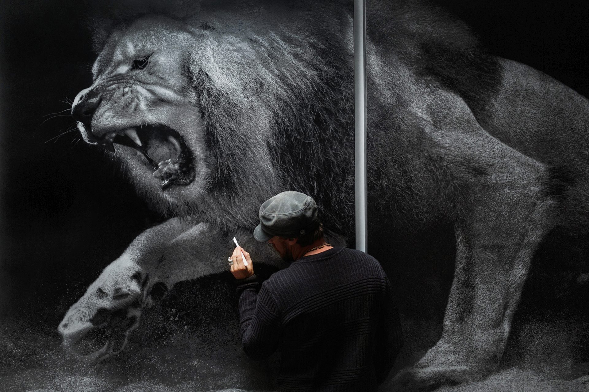 Terrestrial animal, Organism, Grey, Elephant