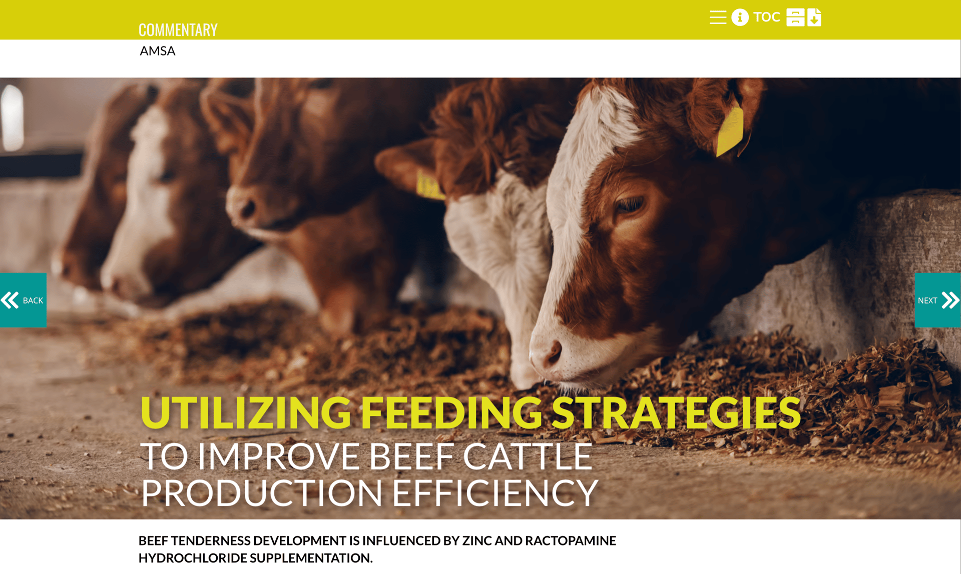 Working animal, Photograph, Organism, Happy