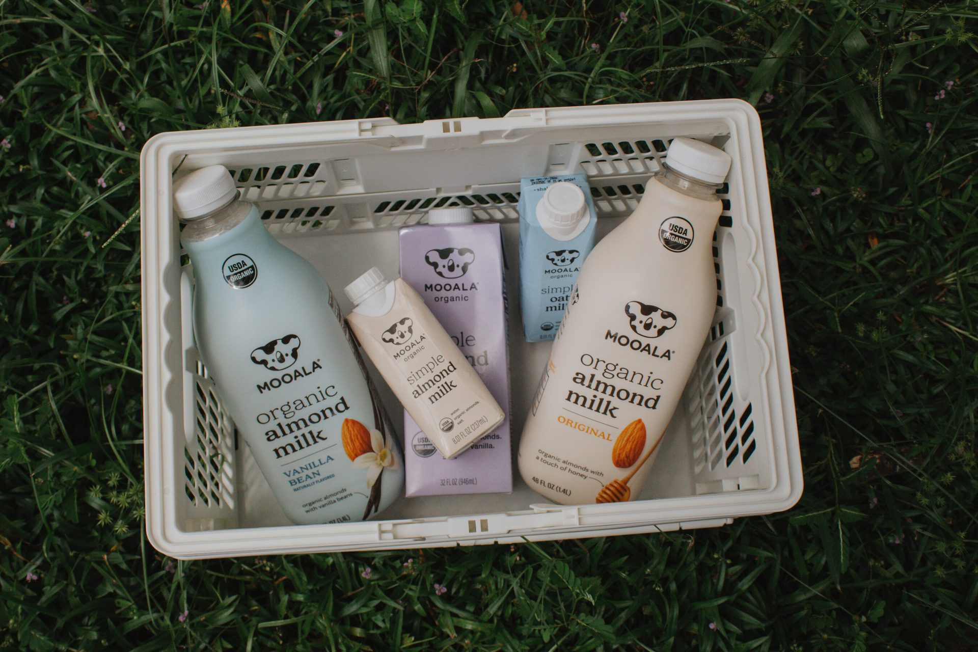 An overhead shot of various Mooala organic almond and oat milk products arranged in a white basket on grass.