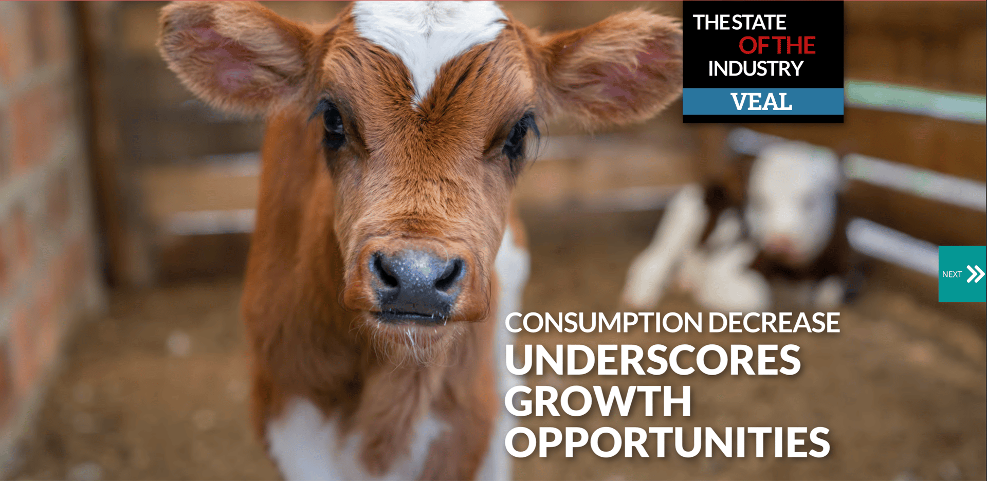 Working animal, Dairy cow, Organism, Fawn, Horn