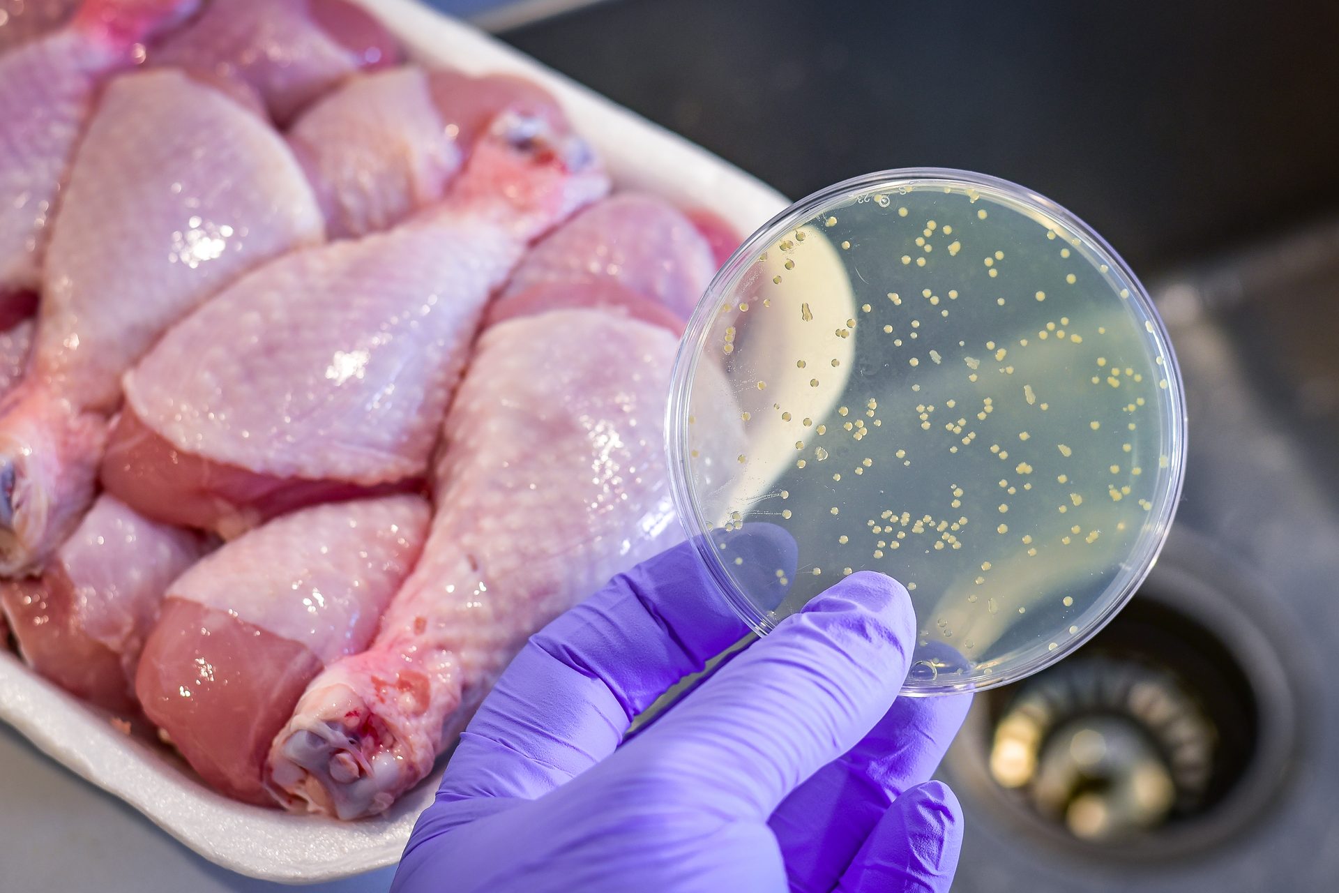 Animal product, Food, Water, Purple, Recipe, Ingredient