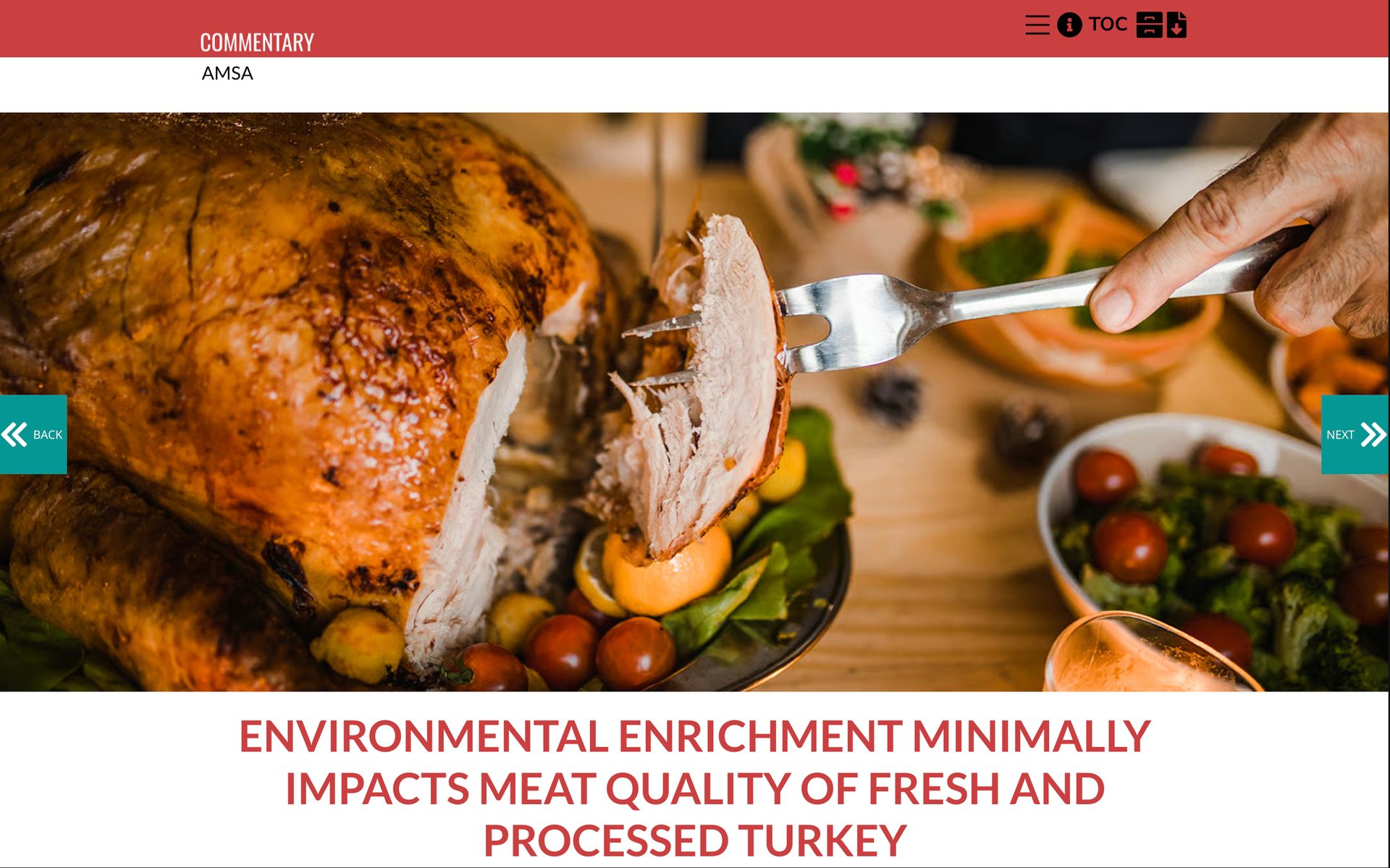 Turkey meat, Food group, Ingredient, Chicken, Advertising, Cooking, Recipe