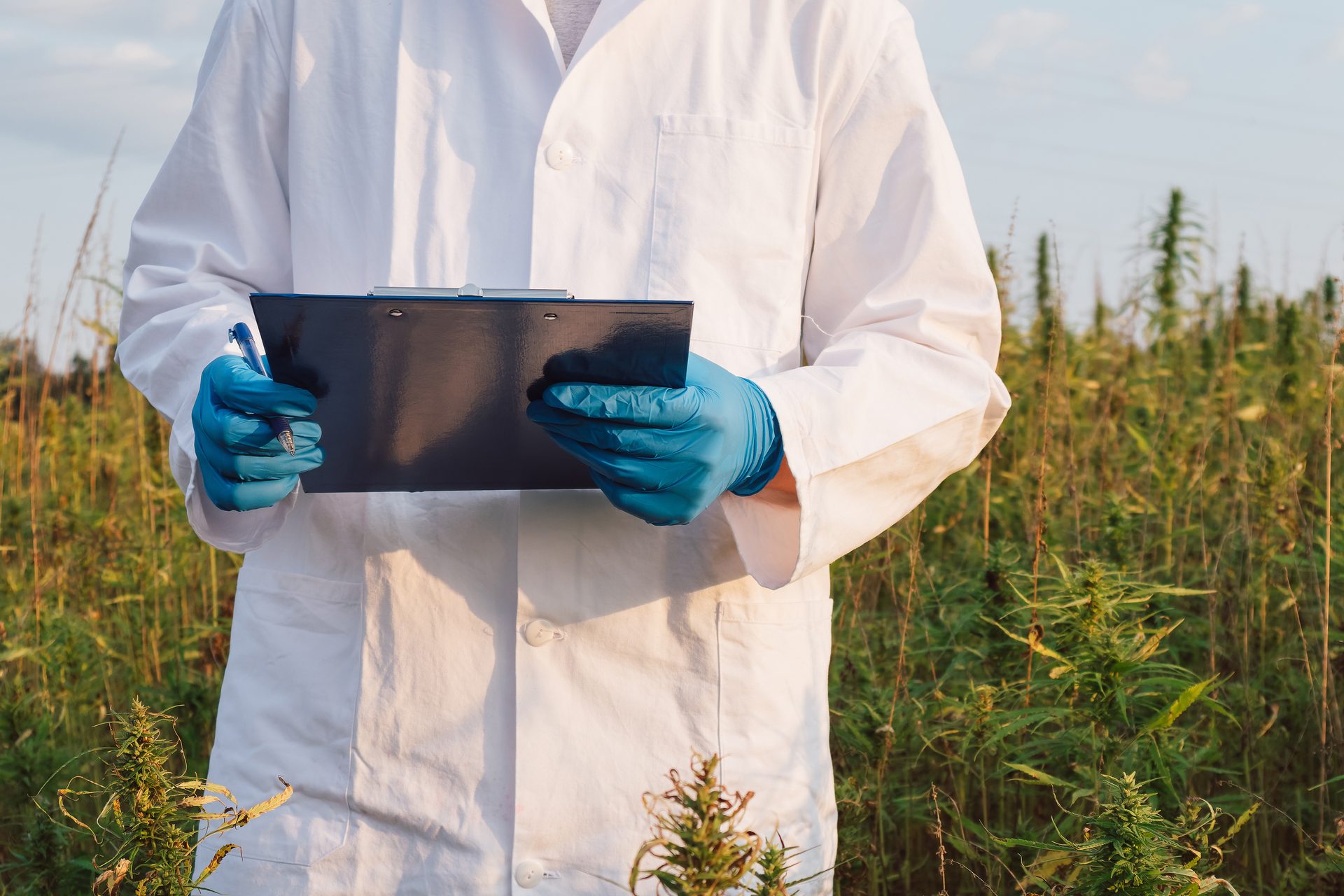 Dress shirt, Natural environment, Hand, Outerwear, Plant, Sky, Glove, Cloud, Sleeve, Textile