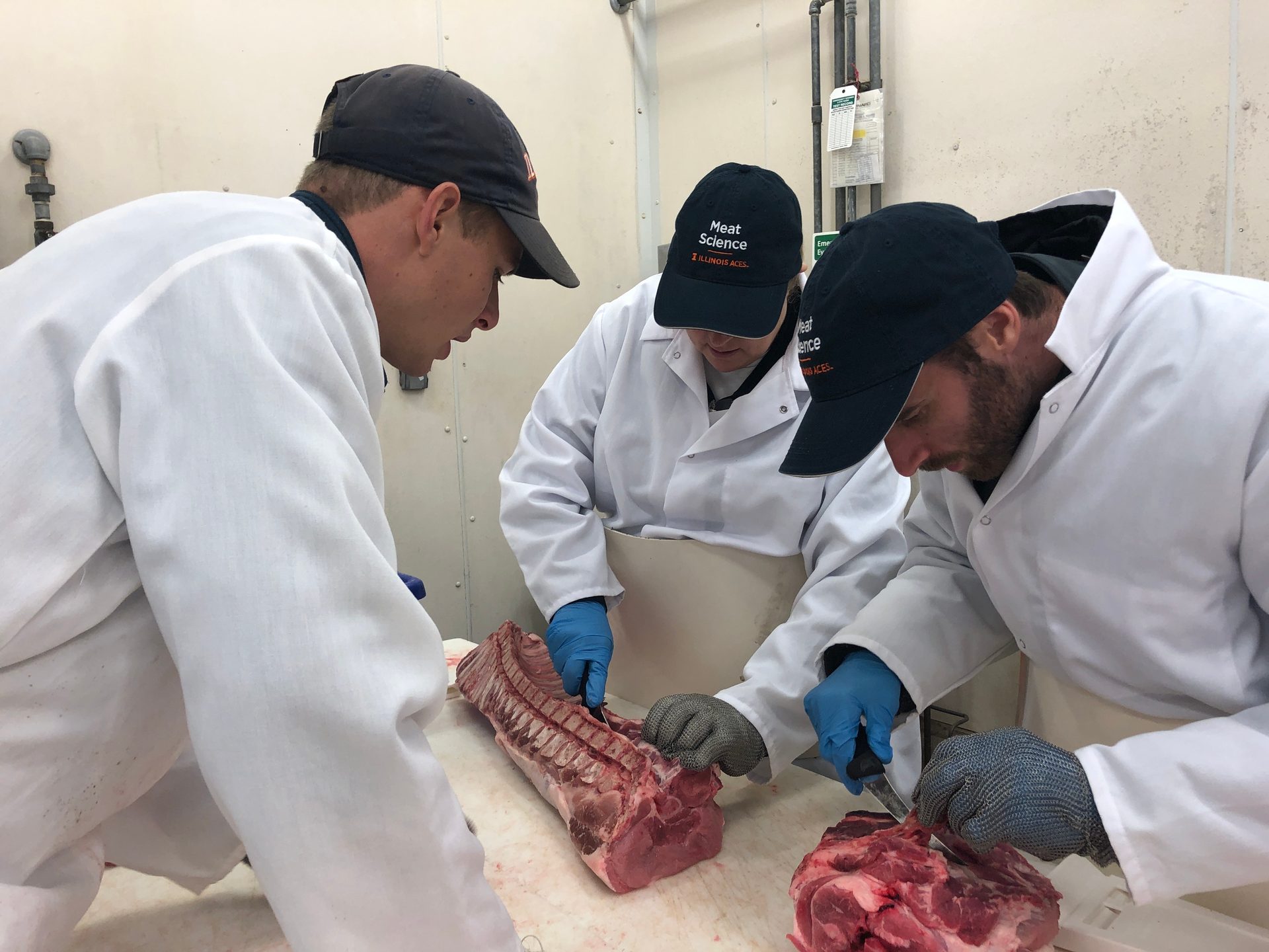 Baseball cap, Food, Sleeve, Butcher