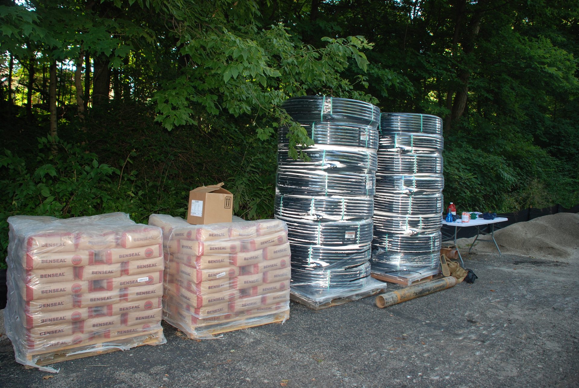 Automotive tire, Road surface, Wood, Tree, Asphalt