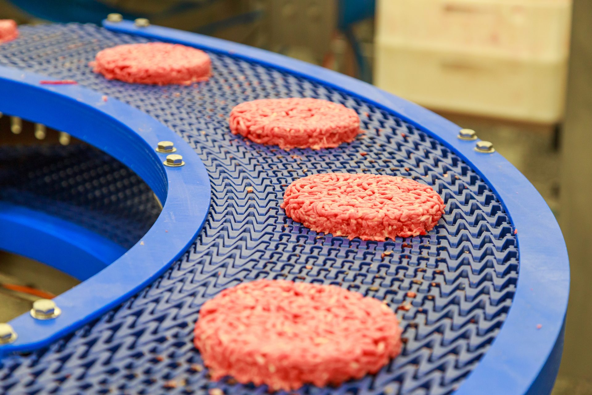 Raw hamburger patties on a blue conveyor belt in a food production facility.