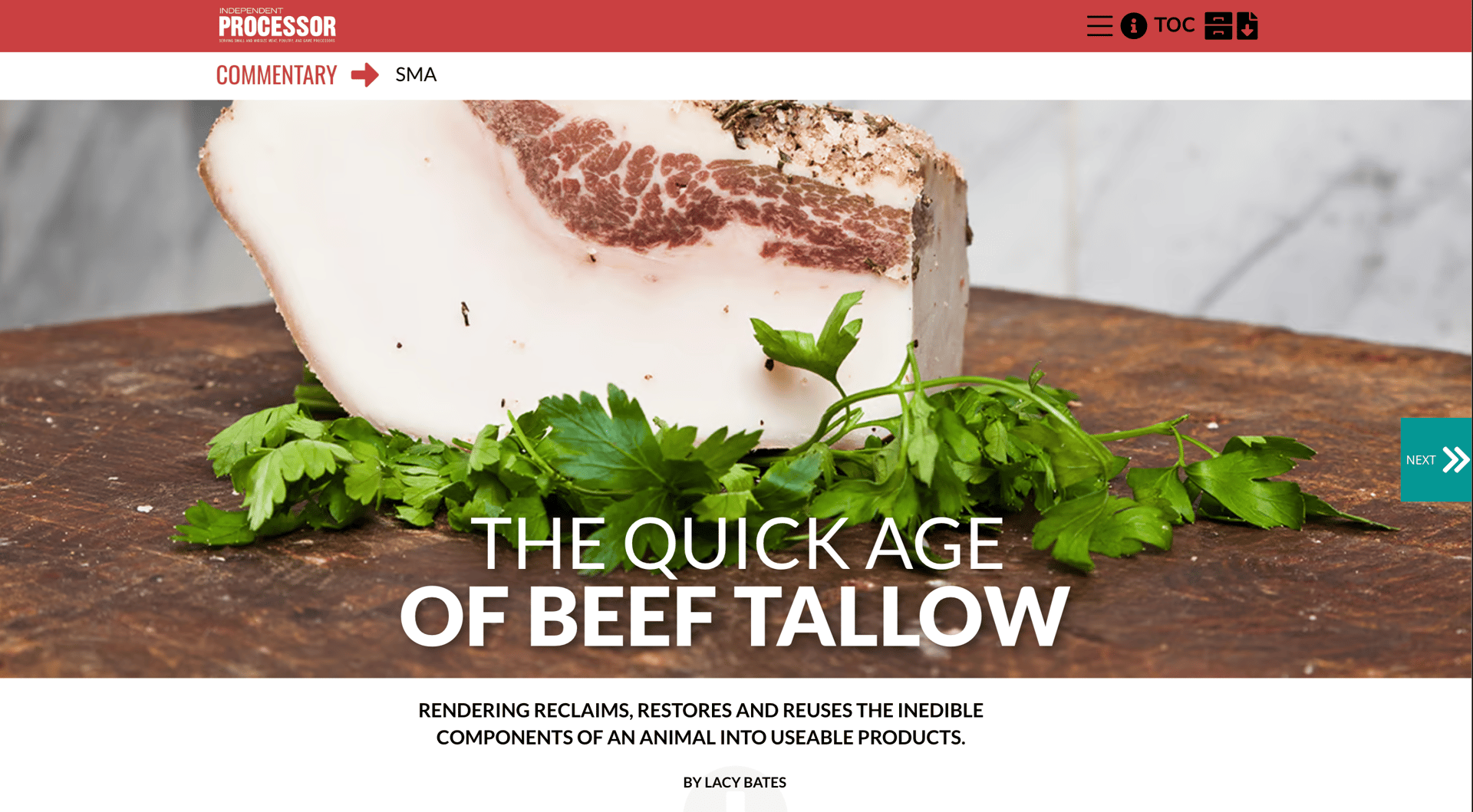 Ingredient, Food, Meat