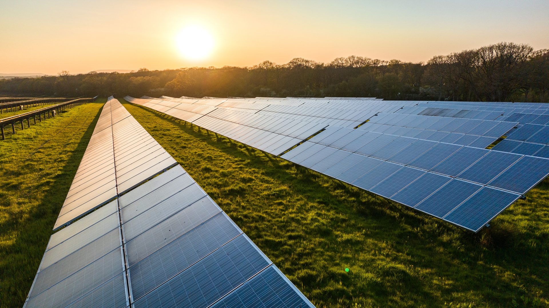 Rows of solar panels in a green field at sunset, with a bright sun and trees in the background.