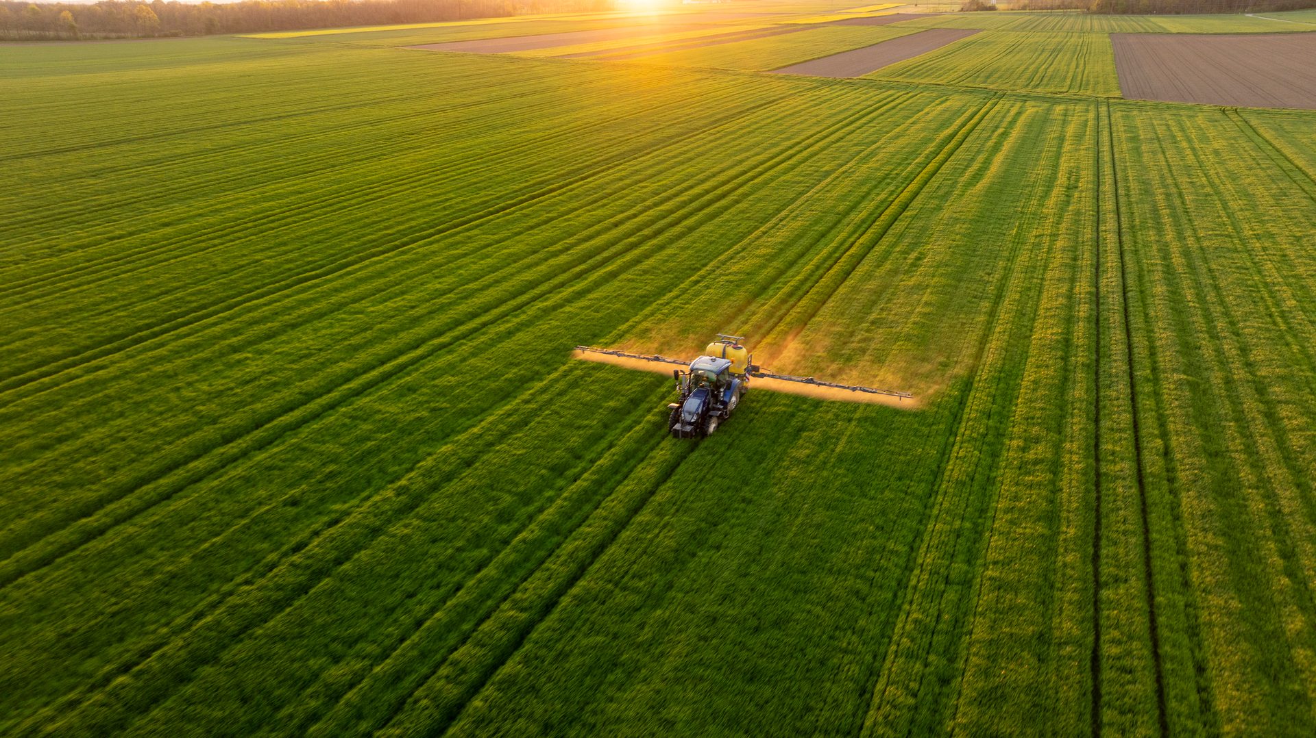 Aerial view of a tractor spraying green crops in a field at sunset.