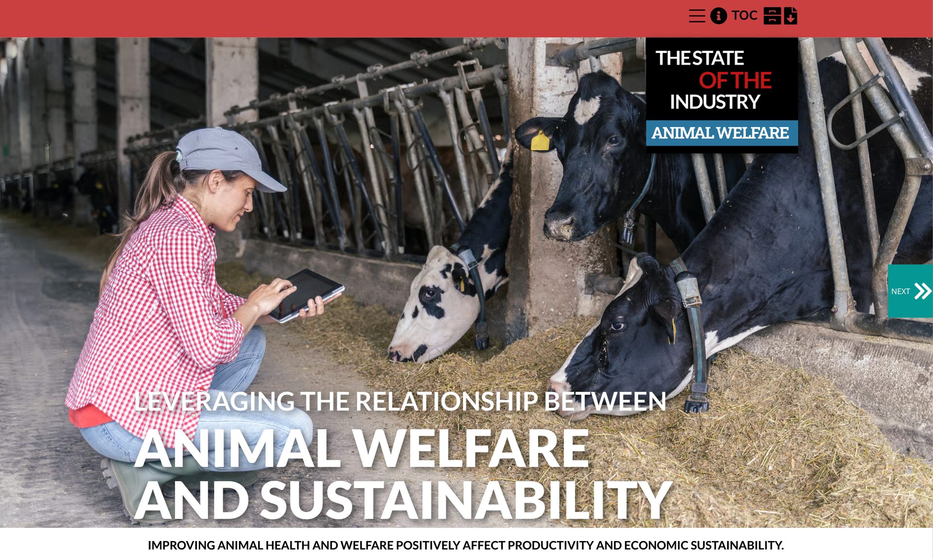 Working animal, Vertebrate, Mammal, Happy