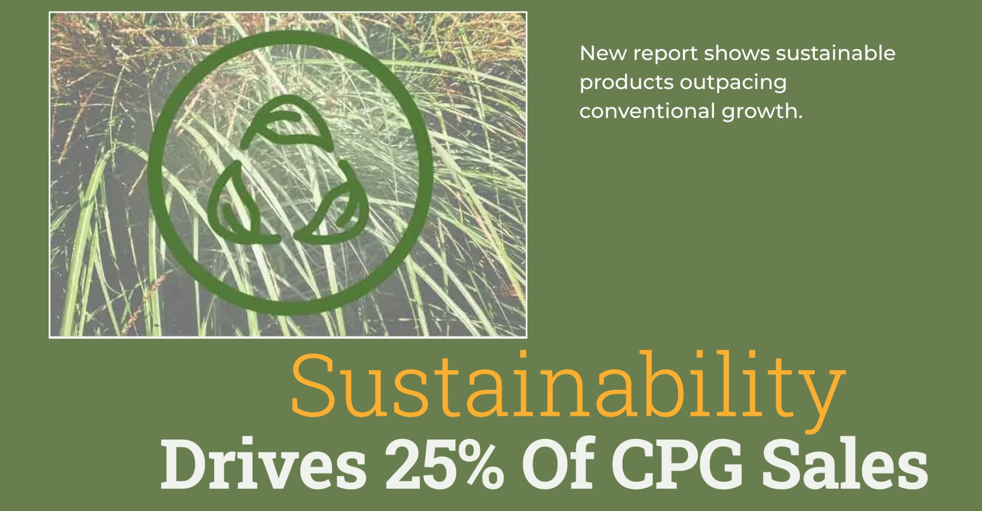 A report highlights sustainable products' growth, with sustainability driving 25% of CPG sales, set against a green grass image with a recycling icon.