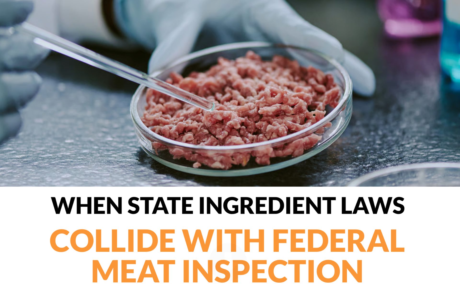 Gloved hand stirring ground meat in a petri dish for lab inspection or cultured meat analysis.