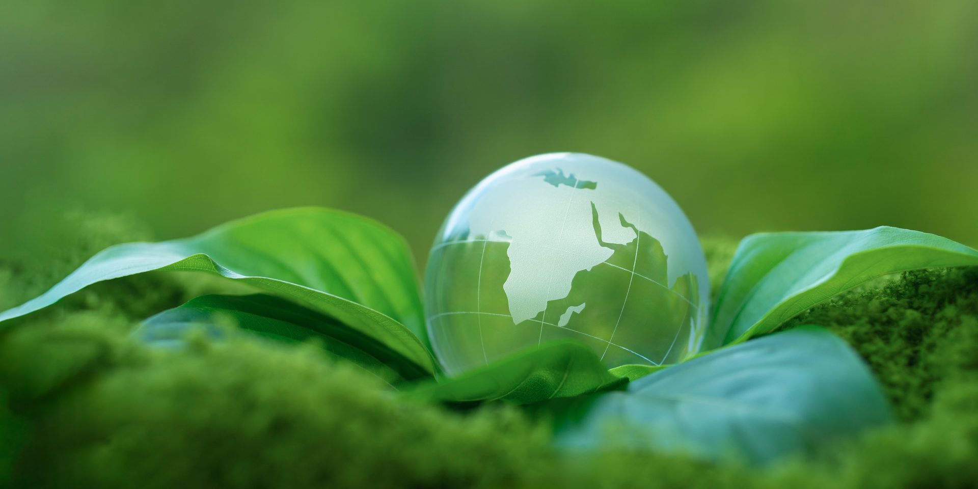 A clear glass globe with a world map resting on vibrant green leaves and moss.