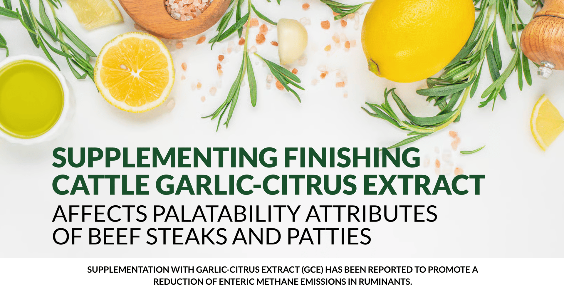 Lemons, garlic, herbs around title: 'Supplementing cattle with garlic-citrus extract affects beef palatability.'