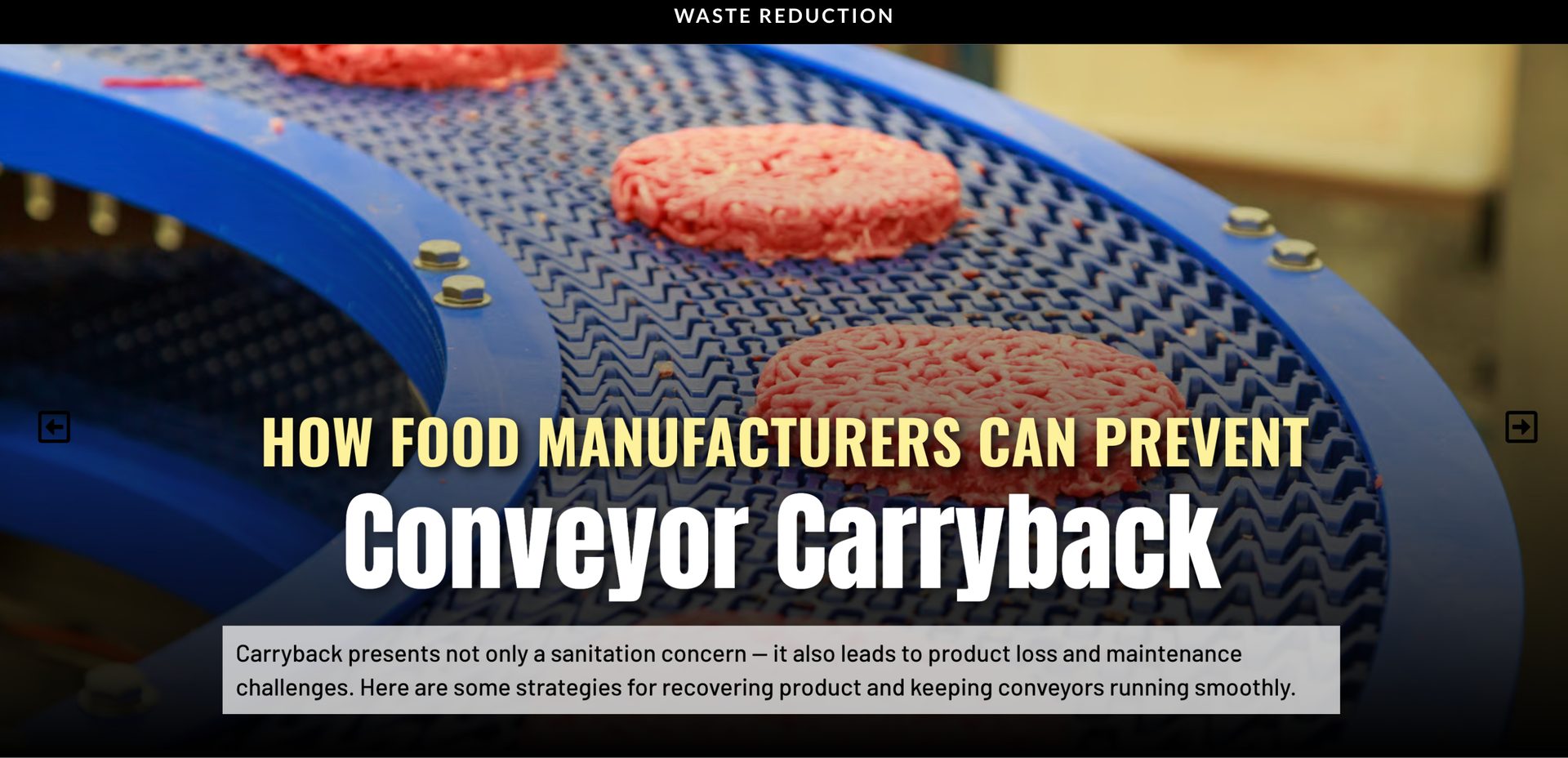 Learn how food manufacturers can prevent conveyor carryback, reduce product loss, and improve sanitation.