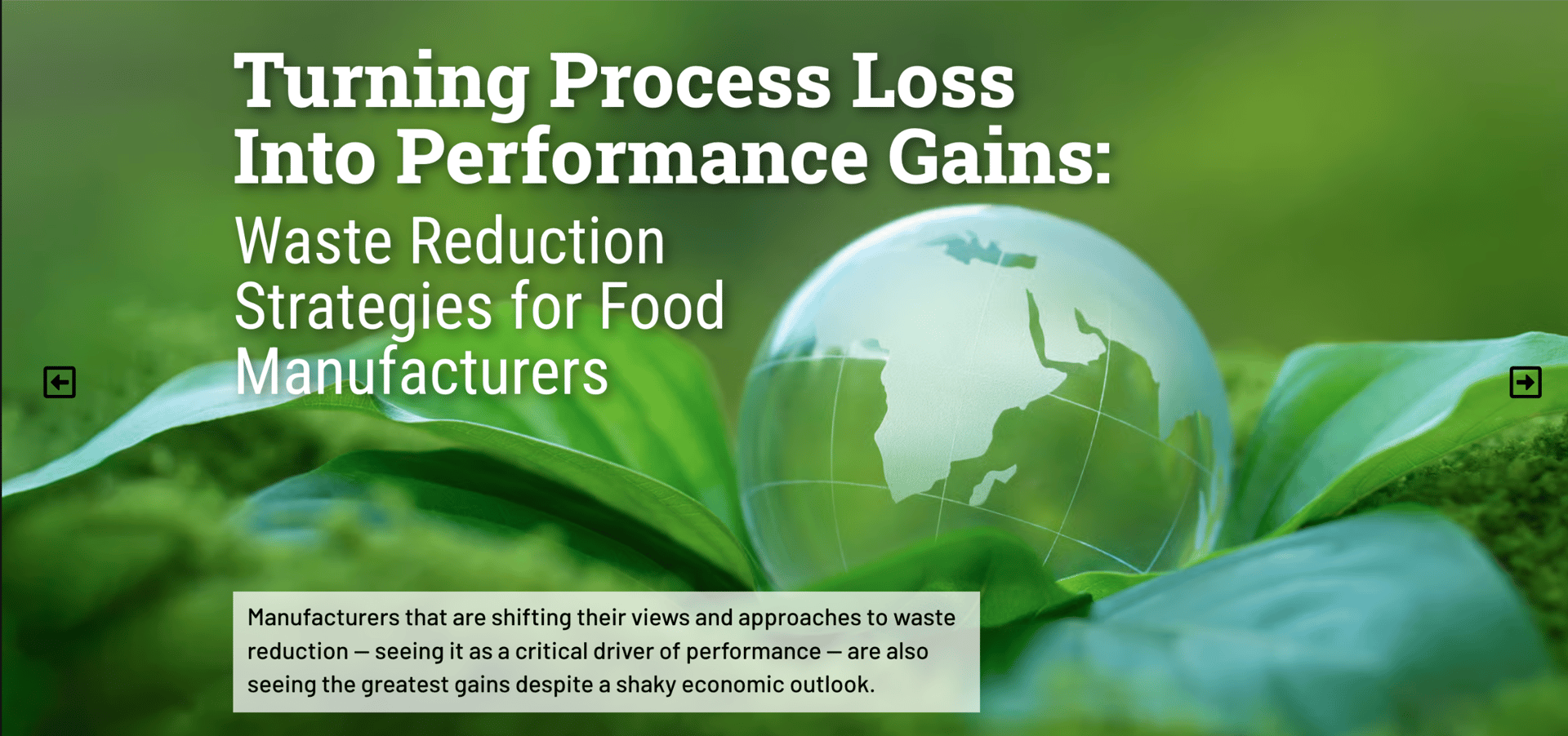 Green image with a glass globe. Text: Waste Reduction Strategies for Food Manufacturers.