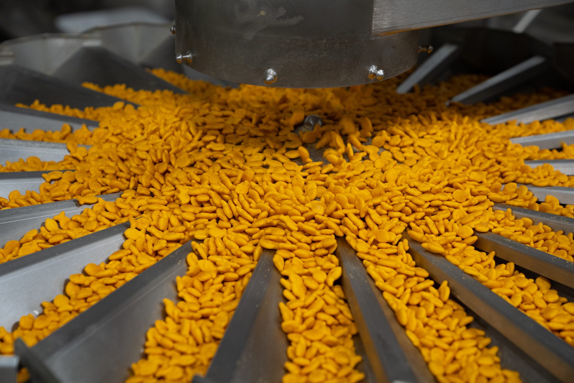 Goldfish crackers being sorted in a factory.