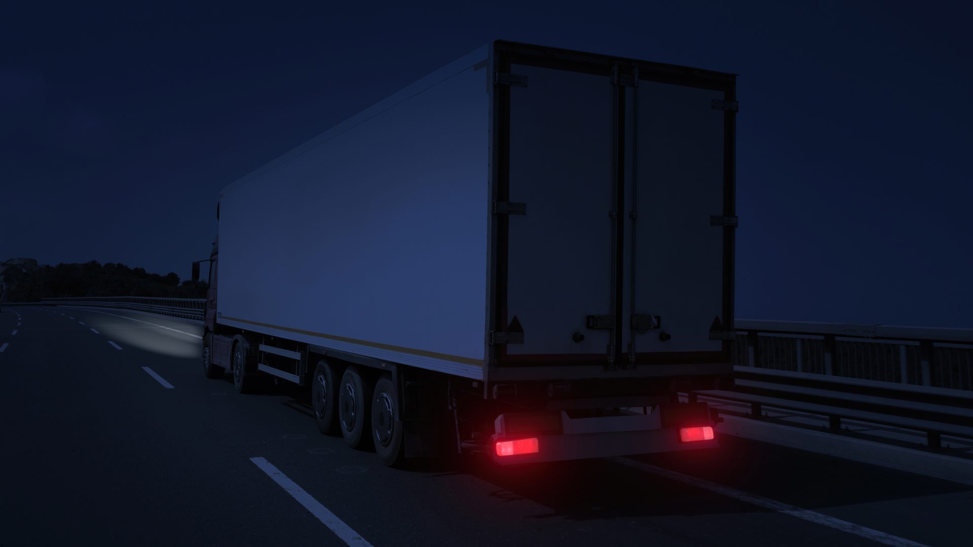 Land vehicle, Automotive lighting, Road surface, Wheel, Tire, Truck, Asphalt