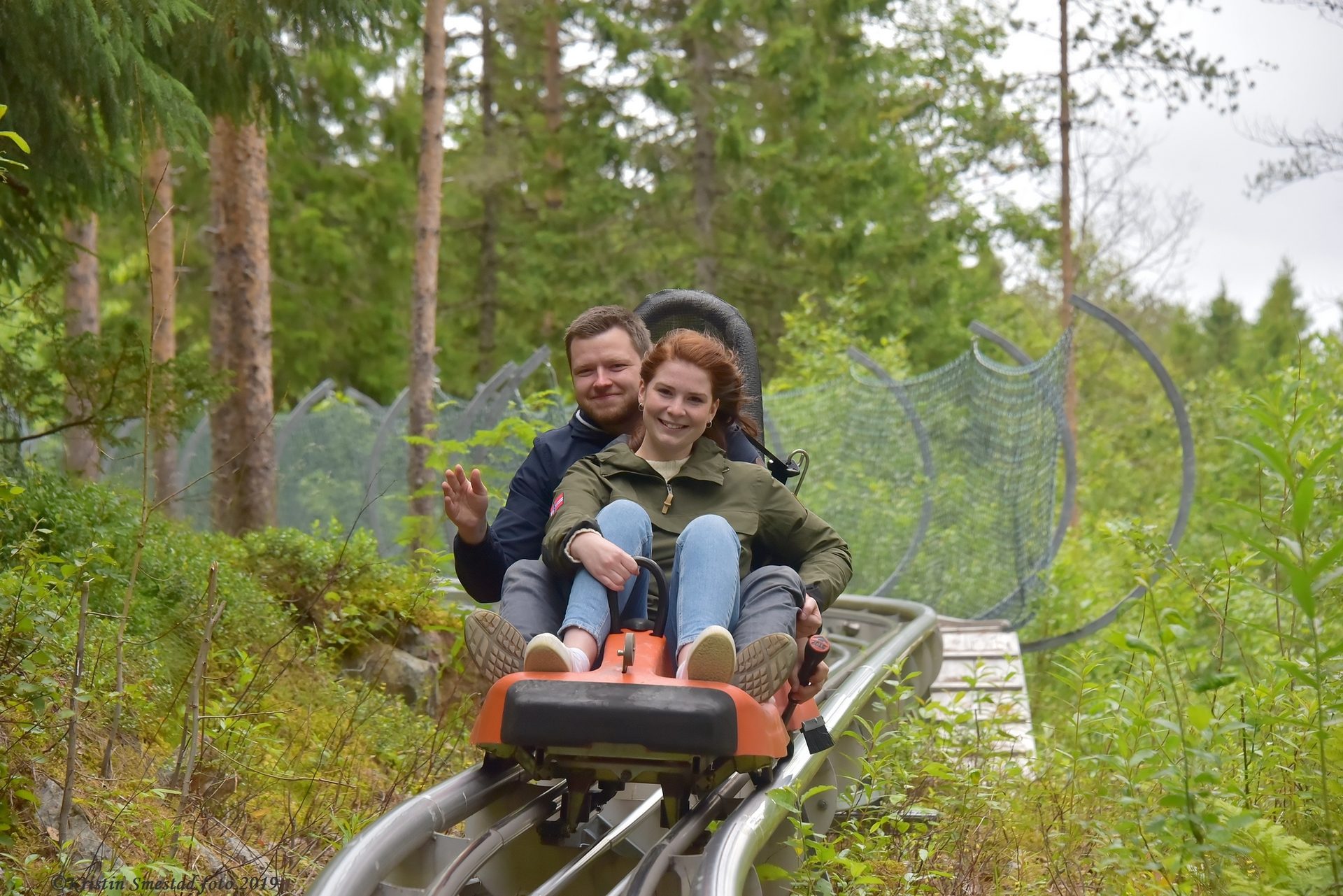 Plant, Smile, Tree, Leisure