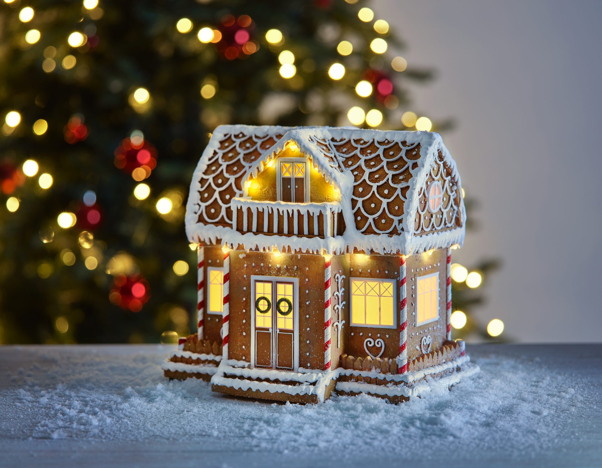 Christmas tree, Window, House, Plant, Ornament