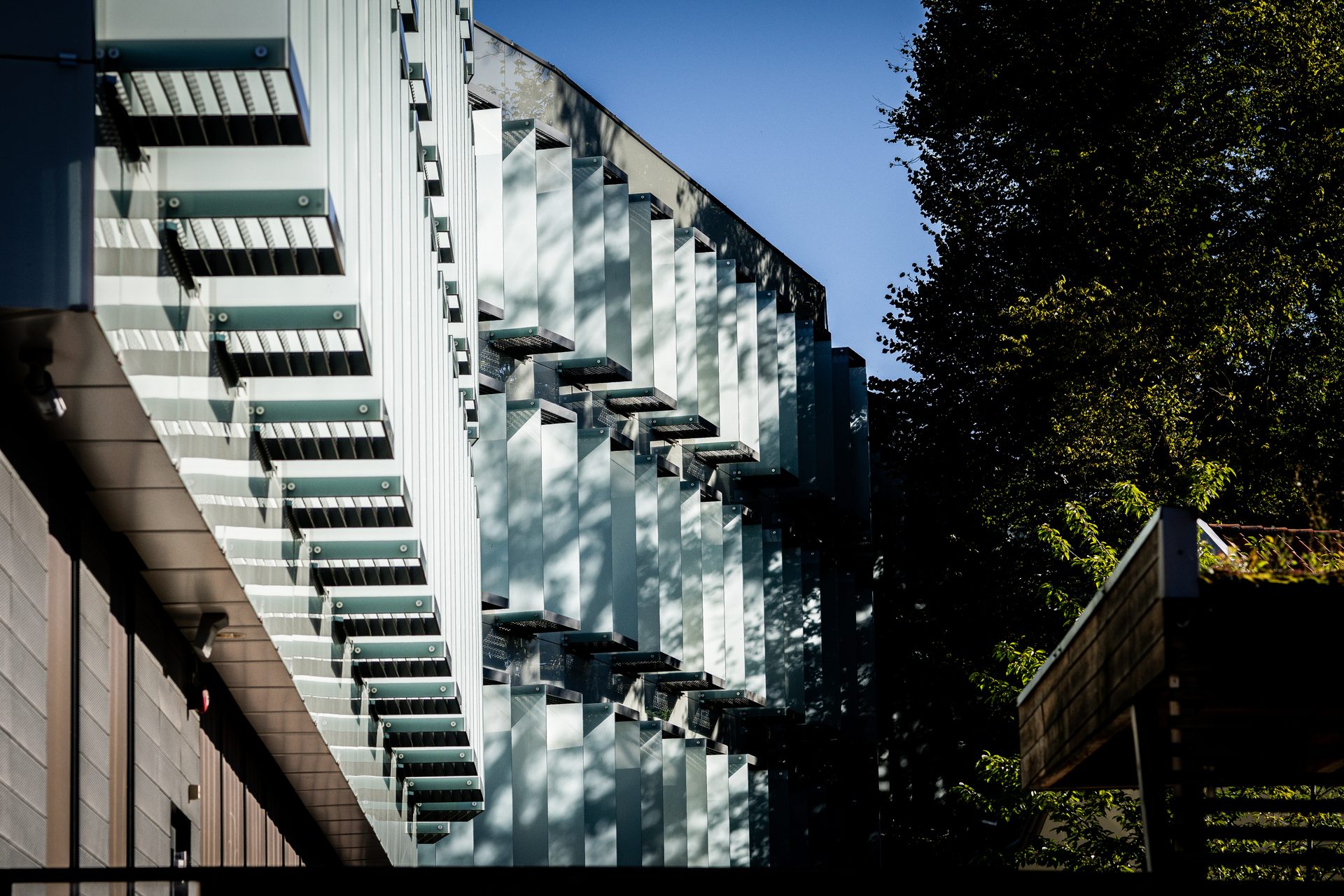 Modern building with stepped glass facade, sun shadows, blue sky, and a dark tree.