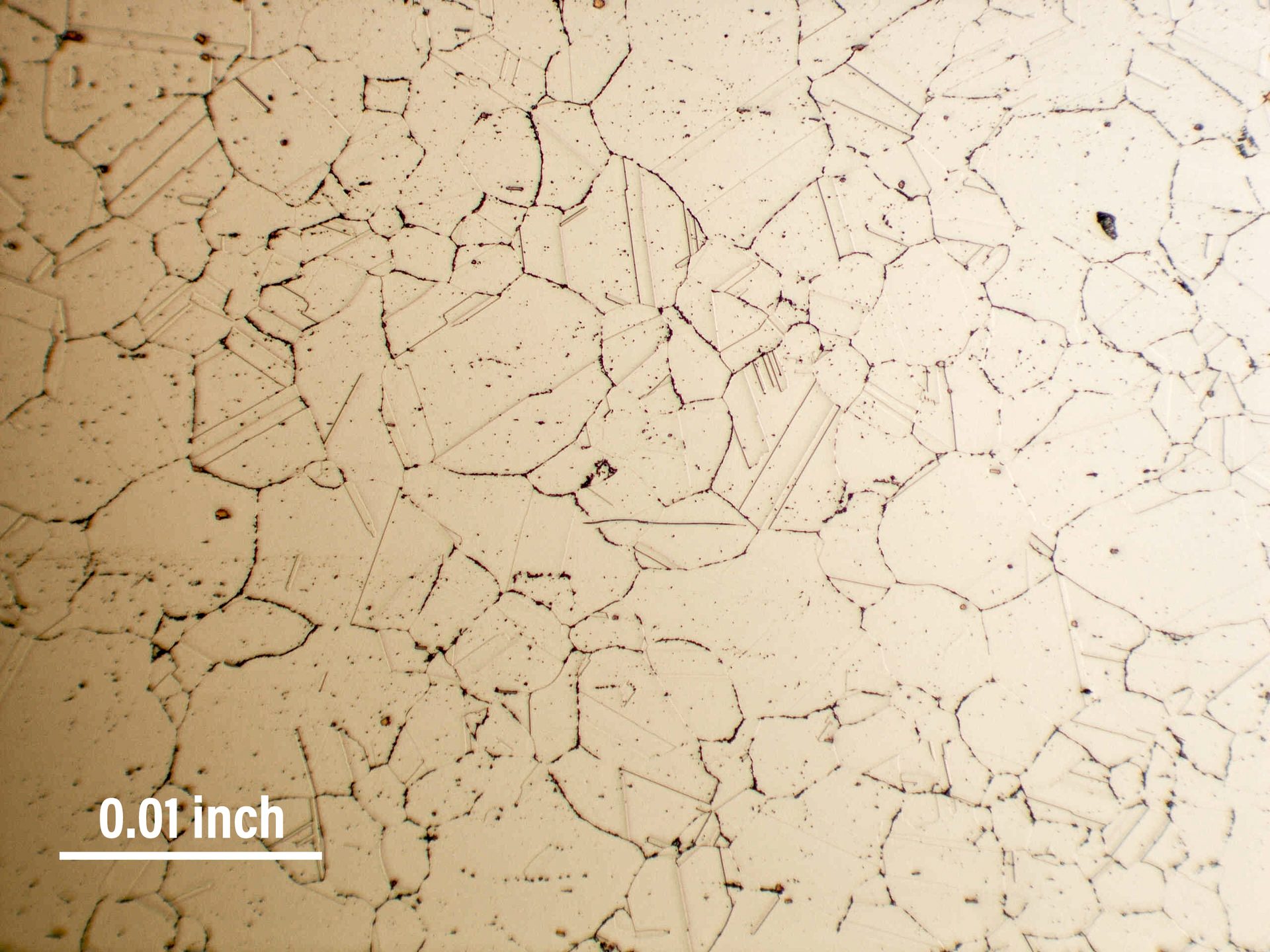 Fig 5 Sigma Phase Metallography