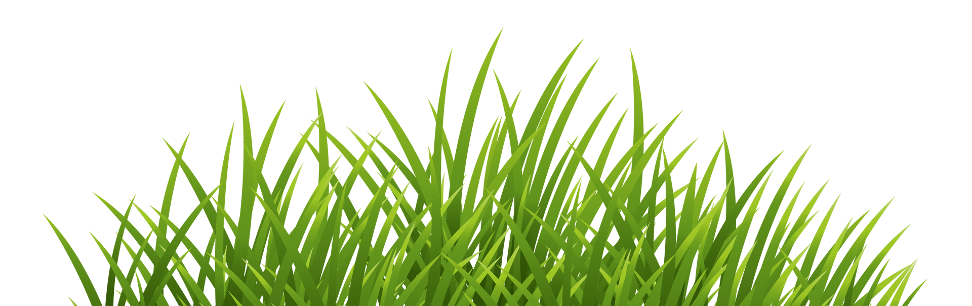 A vibrant green patch of grass with varying heights, suggesting a natural lawn or field.