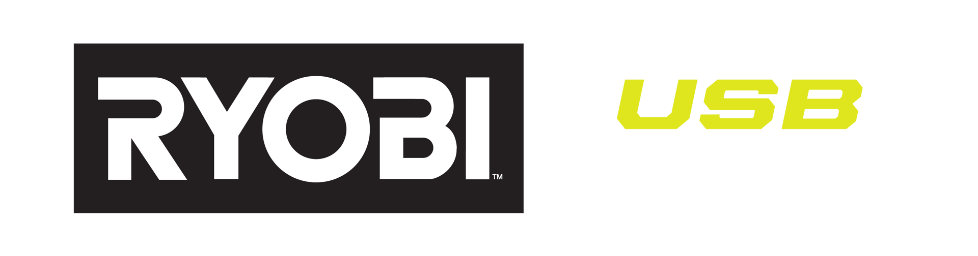 Ryobi logo in white on a black rectangle next to a USB Lithium logo with yellow text on a green background.