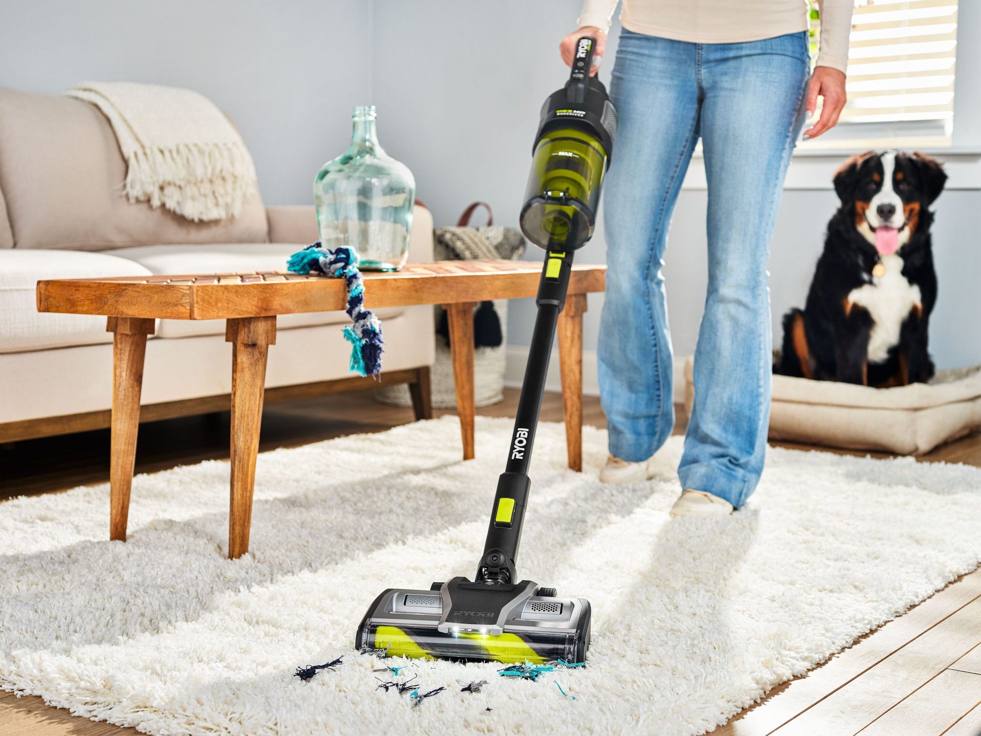 Woman vacuums white shag rug with Ryobi stick vacuum; Bernese Mountain Dog watches from bed.