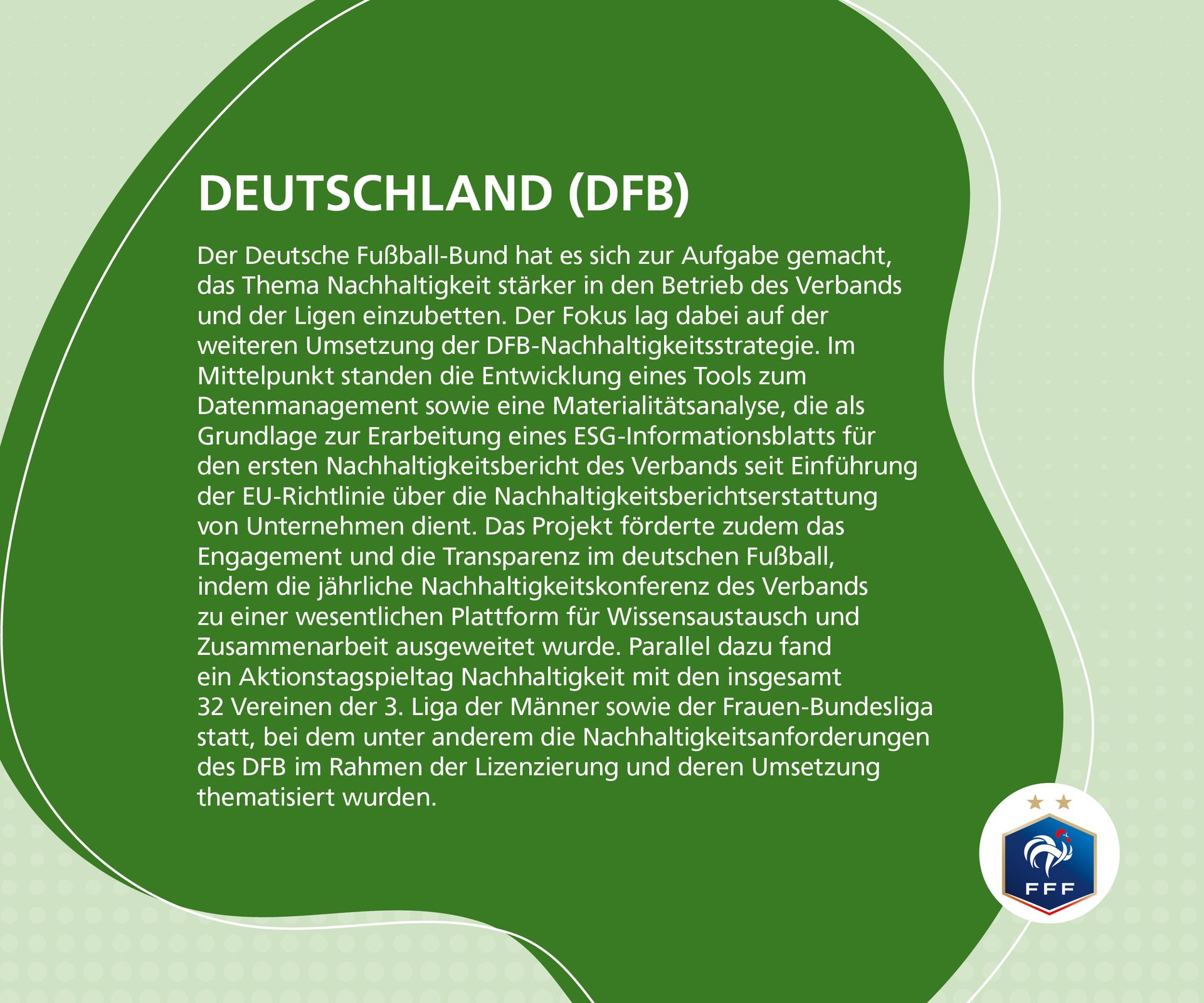 Information about the German Football Association's (DFB) sustainability strategy and related initiatives.
