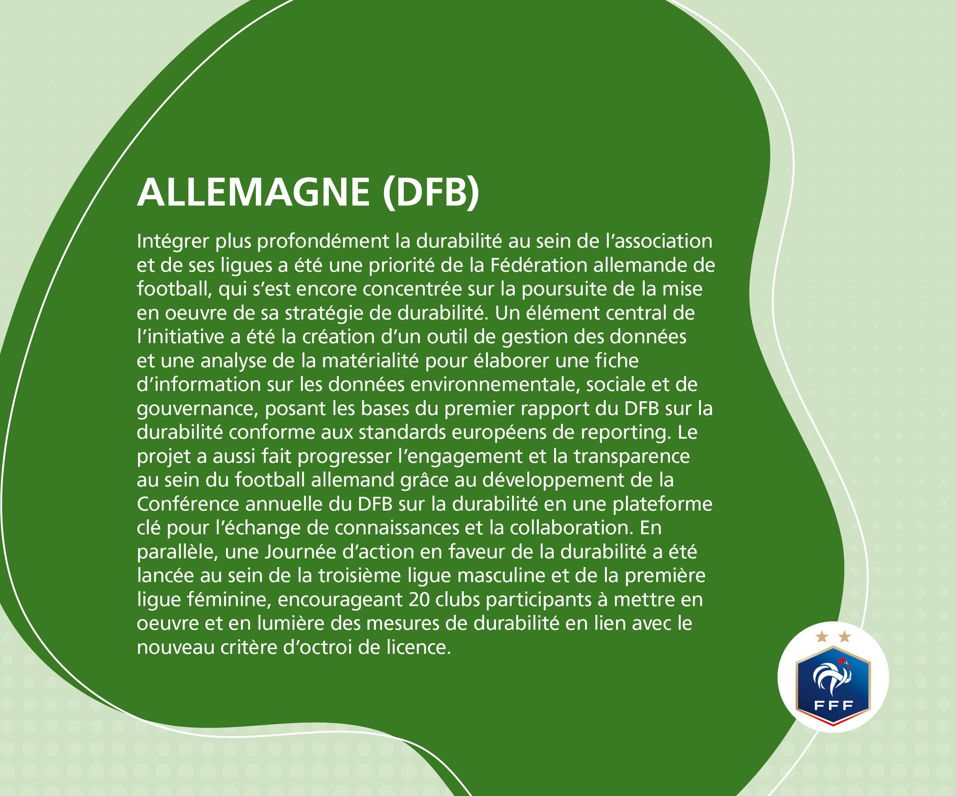 German DFB's sustainability strategy, including data tools, reporting, and league initiatives.