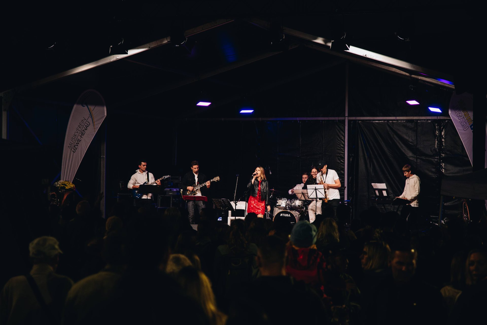 Performing Arts, Musical instrument, Public event, Entertainment, Performance, Stage, Music, Musician, Chordophone