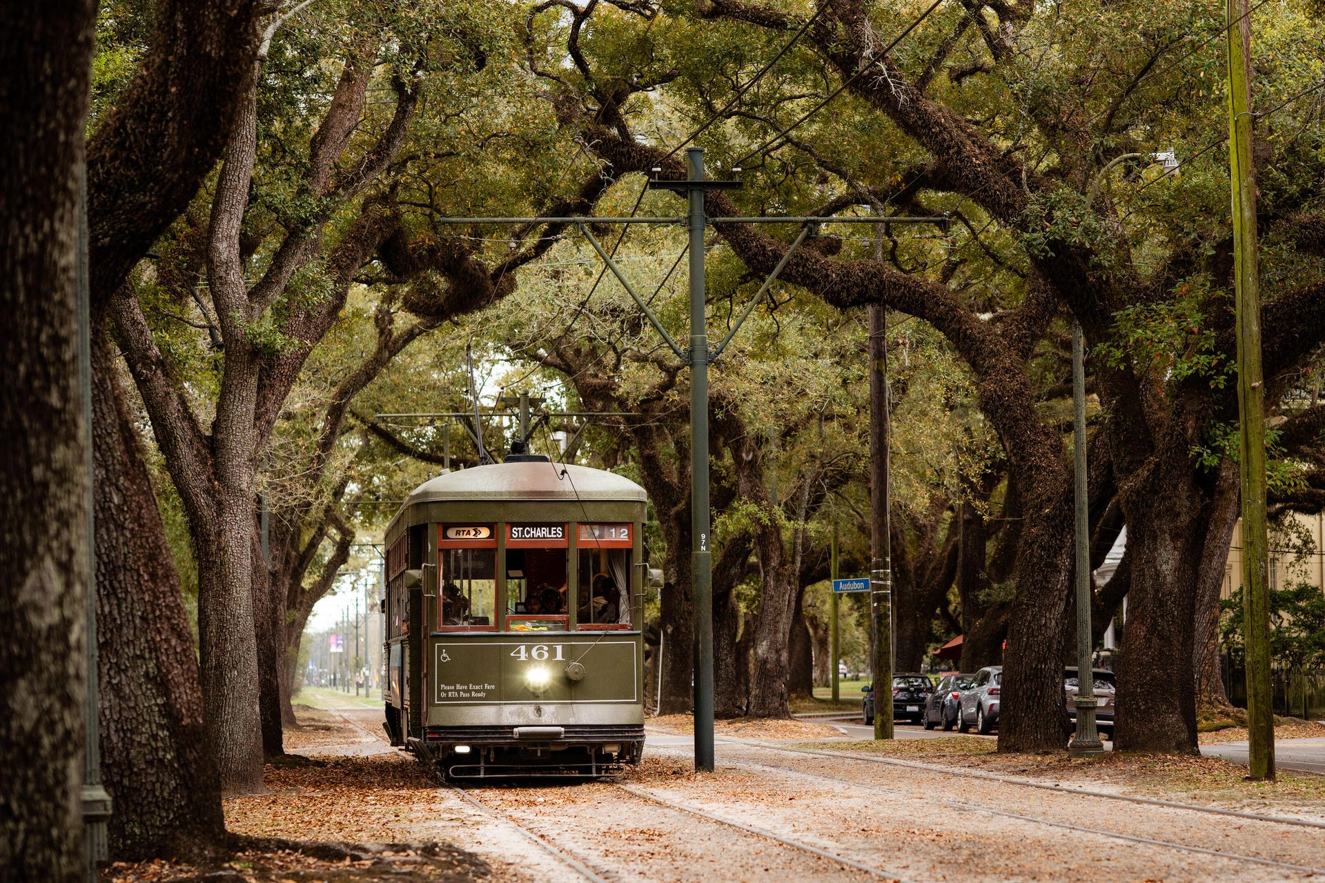 A green New Orleans streetcar travels down a tree-lined street with Spanish moss-covered oak trees.