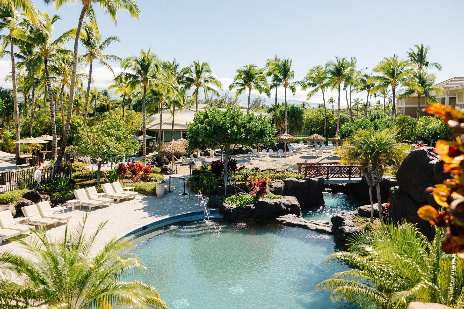 Sunny tropical resort pool area with palm trees, lounge chairs, and a bridge.