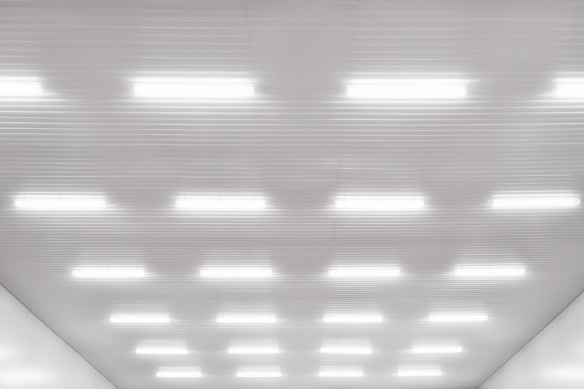 White ribbed ceiling with a grid of bright fluorescent tube lights illuminating the space.