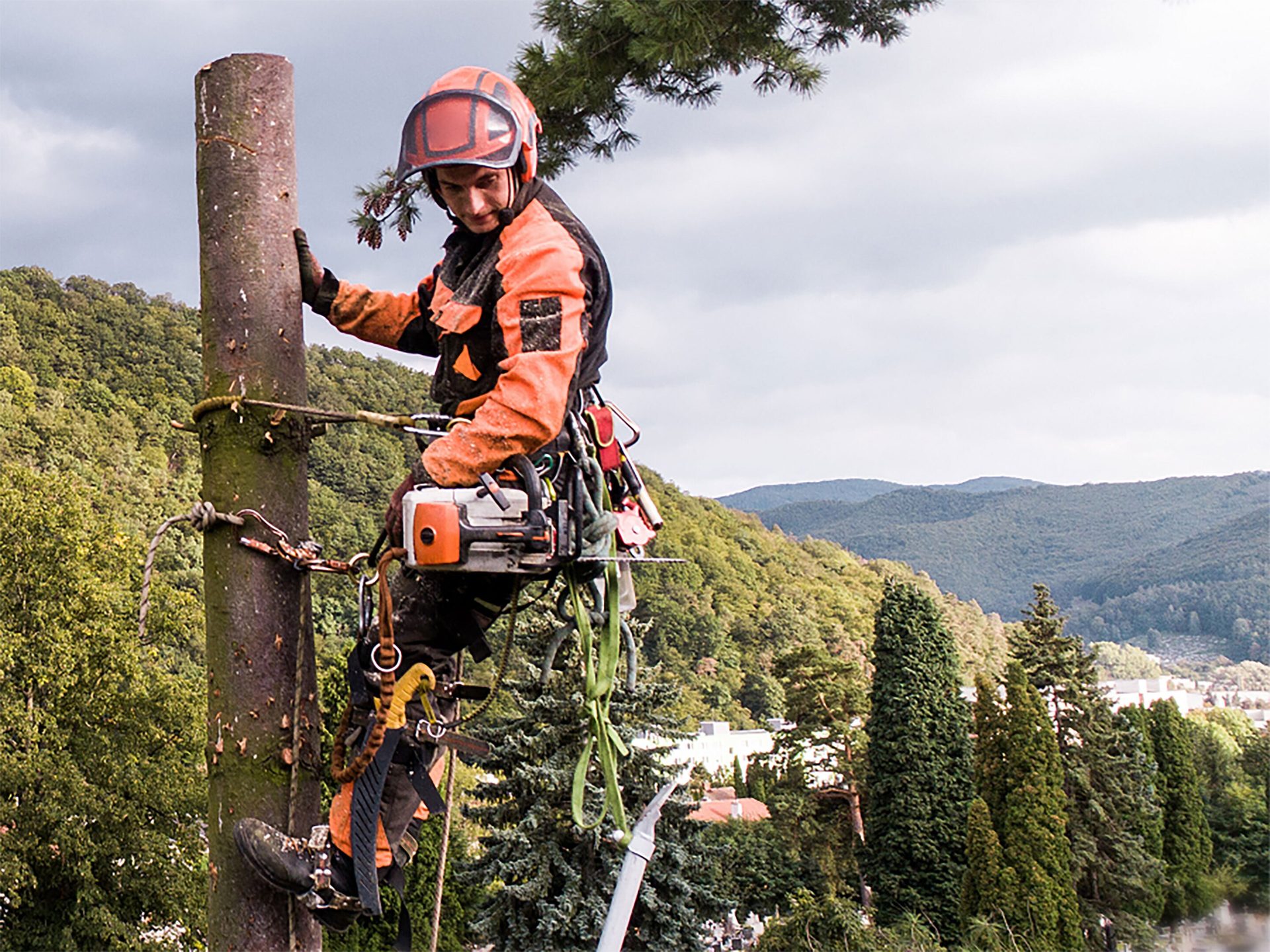 Military camouflage, Cloud, Helmet, Chainsaw, Sky, Plant, Tree, Headgear