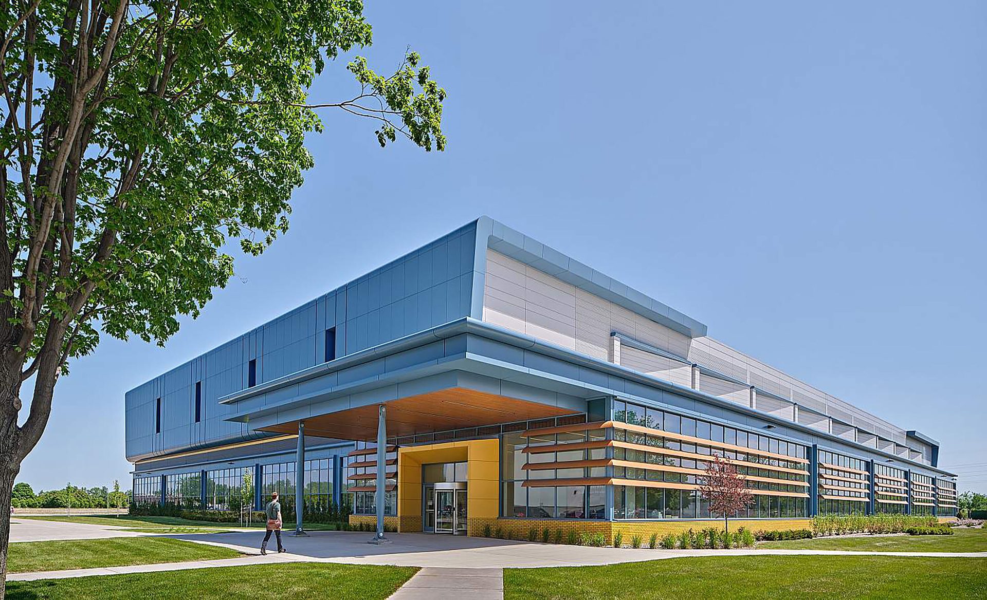 Modern blue and yellow office building with large windows, a prominent tree, and a person walking on a sidewalk.
